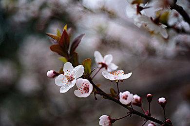 《冲就完事模拟器2》正式公布 2025年年底发售